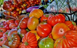 Marché public
