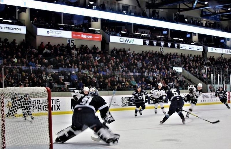 Le Phoenix de Sherbrooke de retour sur la glace SPORTS EstriePlus