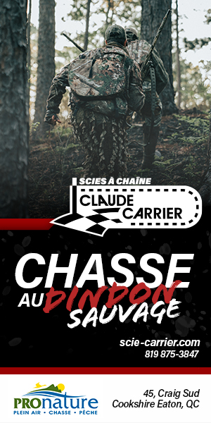 Claude Carrier_Chasse Dindon